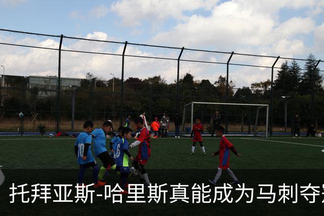托拜亚斯-哈里斯真能成为马刺夺冠的最后一块拼图吗？